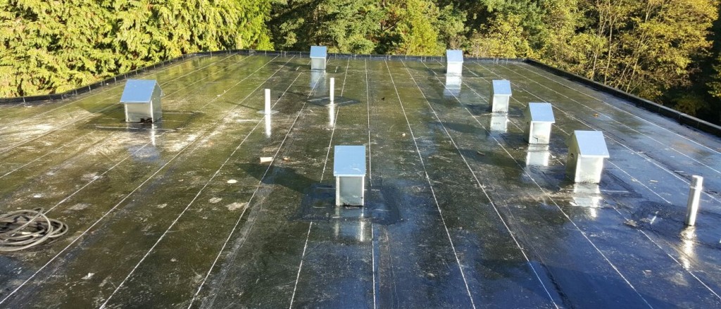 Roof Repair Surrey - Galaxy Roofing
